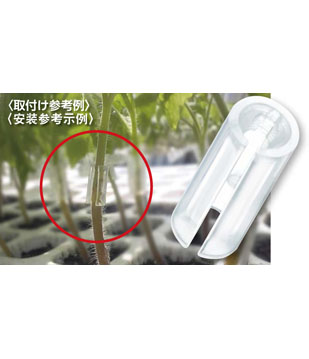 嫁接管